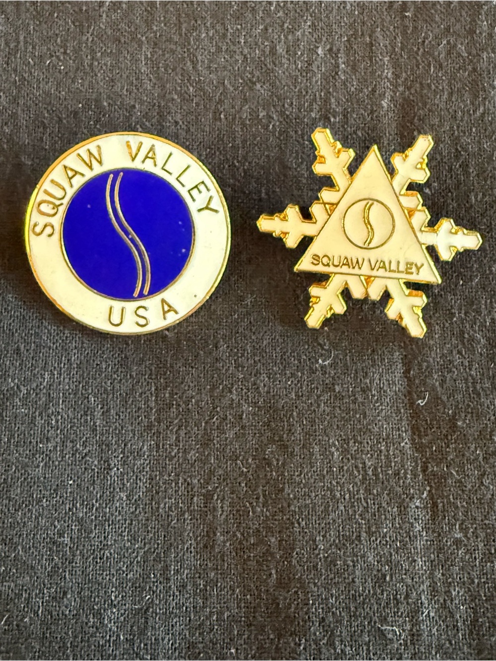 Two Squaw Valley Pin/Brooches